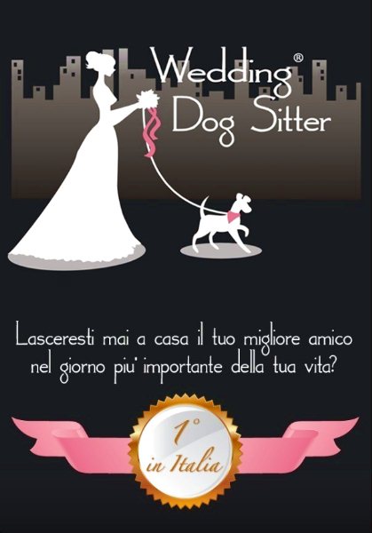 Wedding Dog Sitter ci prendiamo cura del tuo cane nel giorno più importante della tua vita