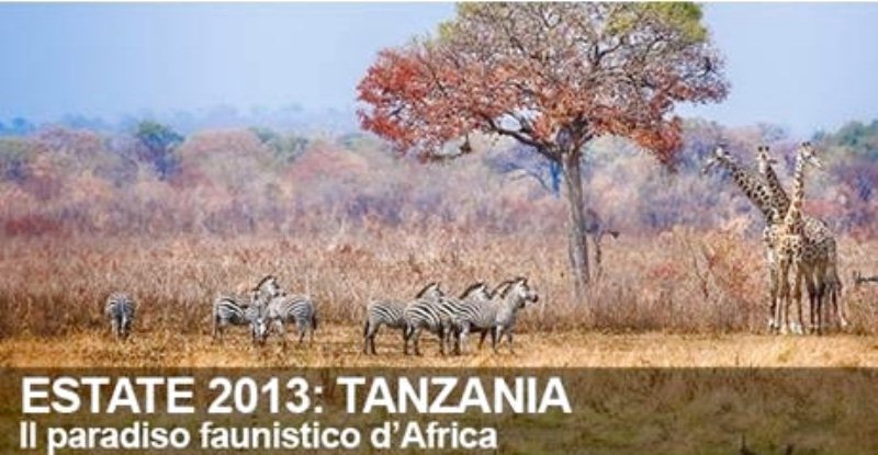 Estate 2013 Tanzania  Il Paradiso Faunistico d’Africa. Parchi del Nord e Lago Natron a partire da  2.39000