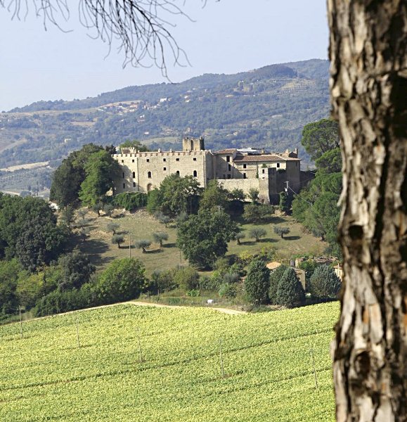 Castello di Ramazzano per un Wine Wedding da fiaba