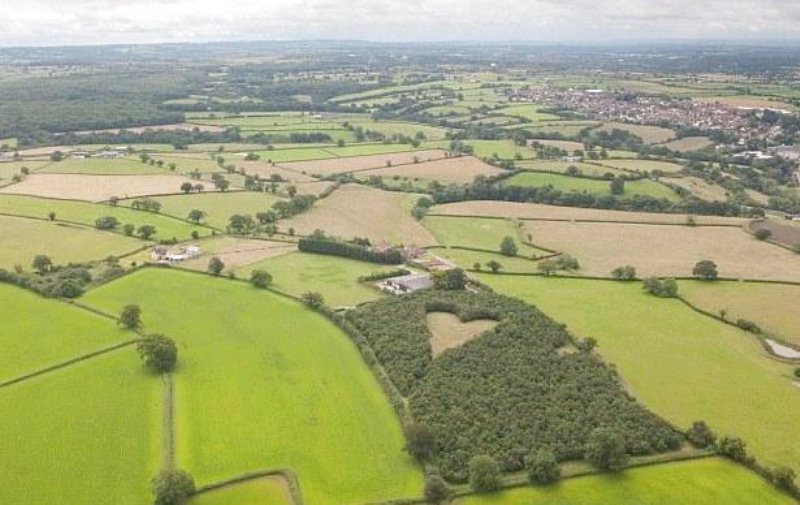 Agricoltore britannico pianta un bosco a forma di cuore per omaggiare la moglie scomparsa