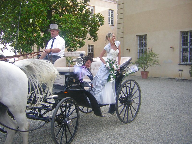 WHITE HORSECarrozze per matrimoni sfilate servizi fotografici